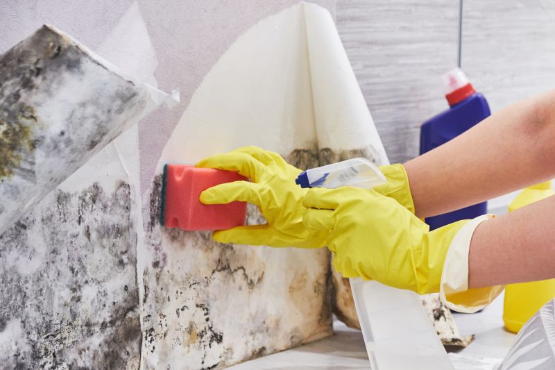 Air Duct Mold Removal in Fort Worth, TX