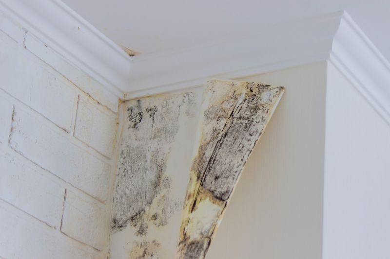 Air Duct Mold Removal in West Palm Beach, FL