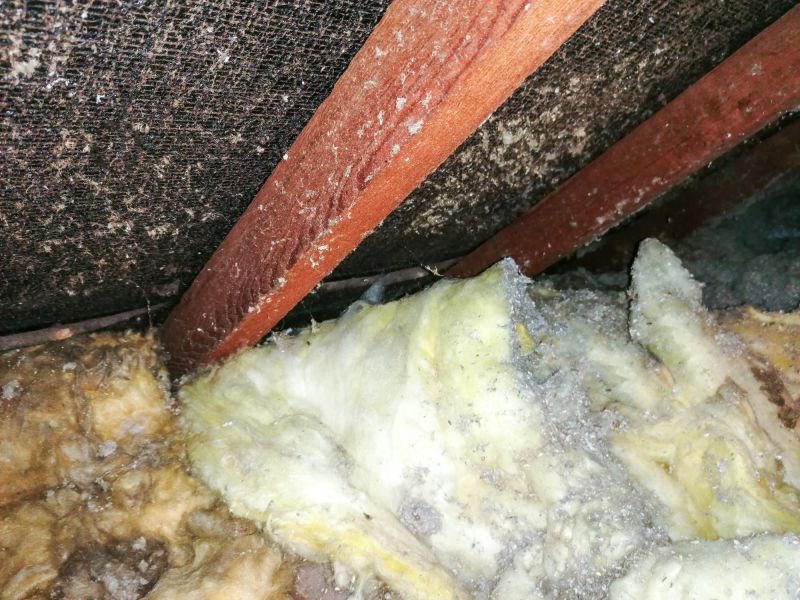 Asbestos Abatement in Essex County, NJ