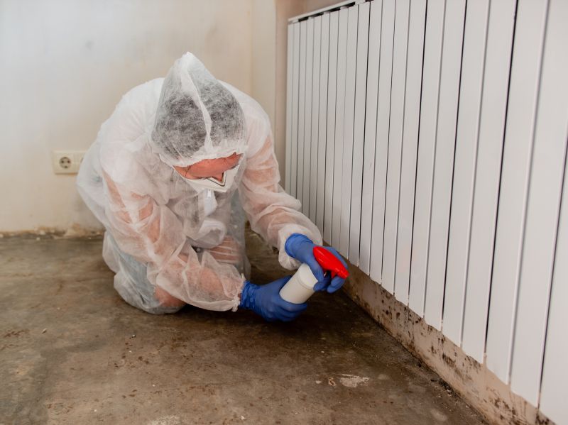 Attic Mold Removal in Fort Worth, TX