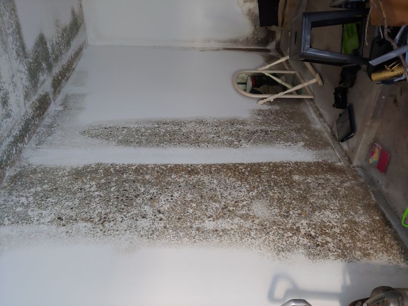 Attic Mold Testing