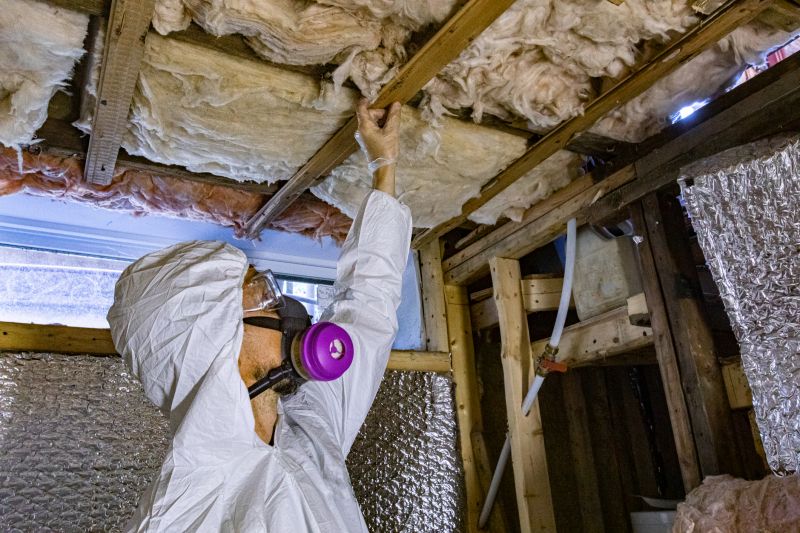 Attic Mold Testing