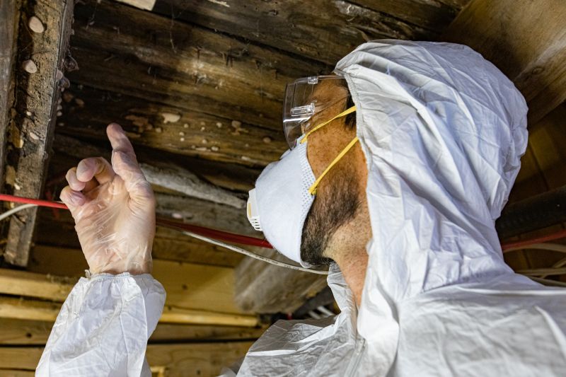 Attic Mold Testing