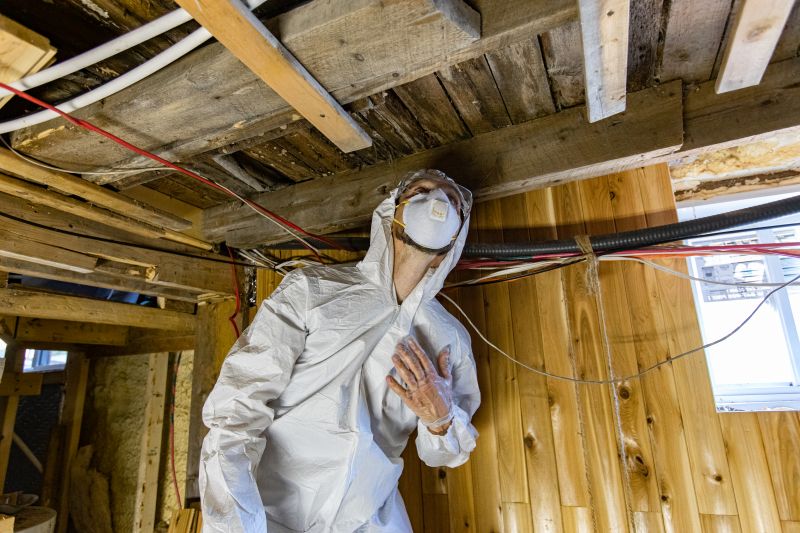 Attic Mold Sampling