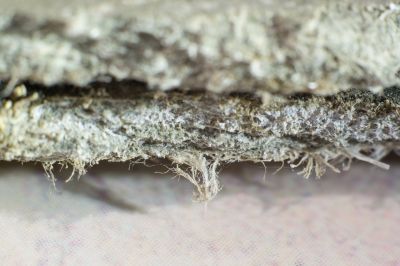 Basement Asbestos Removal in Monmouth County, NJ