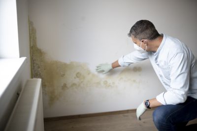 Basement Mold Remediation in Bergen County, NJ