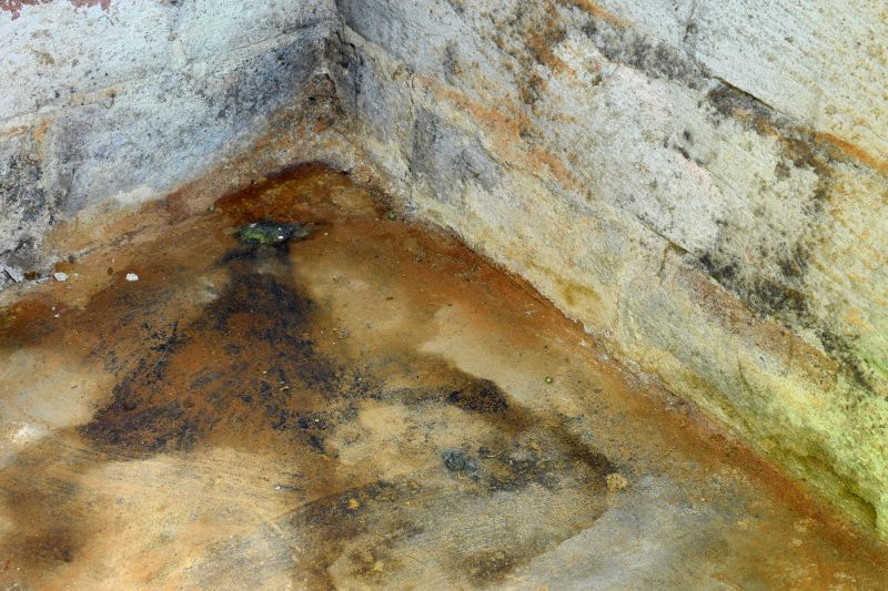 Basement Mold Removal in Fort Worth, TX