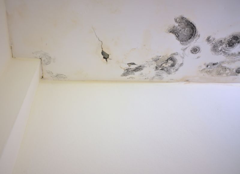 Ceiling Mold Removal in West Palm Beach, FL