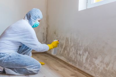 Crawl Space Mold Removal in Broward County, FL
