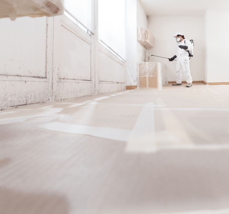 Crawlspace Mold Remediation in Boca Raton, FL