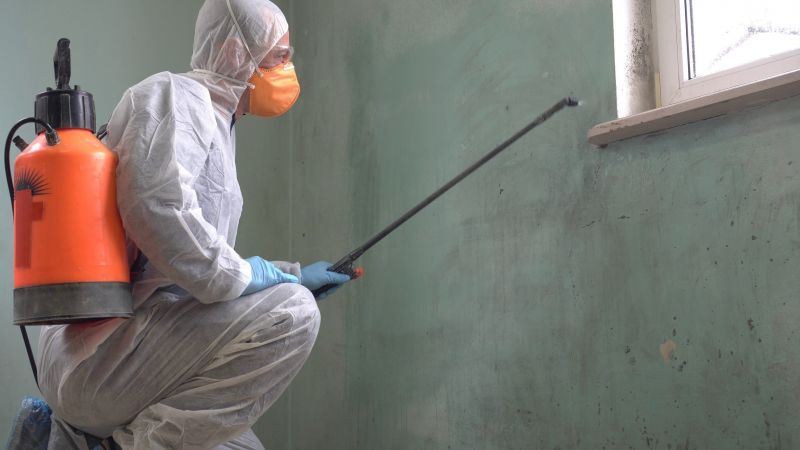Mold Abatement in Arlington, TX