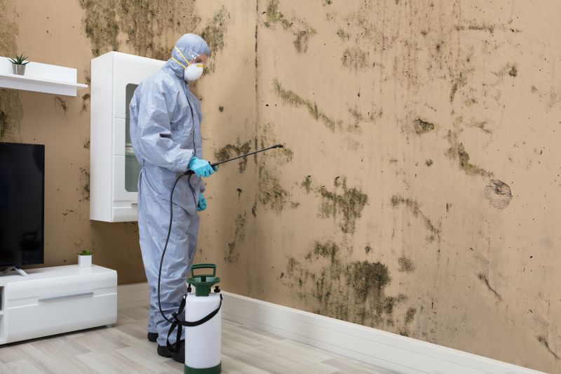 Mold Abatement in Arlington, TX