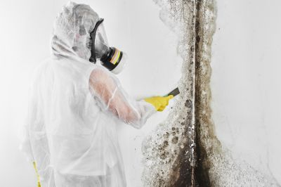 Mold Abatement in Arlington, TX