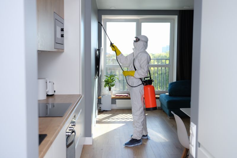 Mold Cleanup Service in Broward County, FL