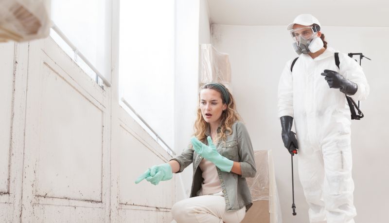 Mold Cleanup Service in Broward County, FL