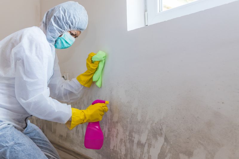 Mold Cleanup Service in Dallas, TX