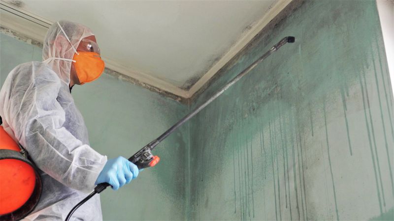 Mold Mitigation Service in Jupiter, FL