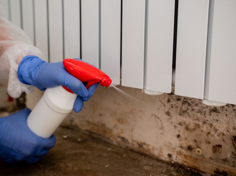 Mold Remediation Service in Essex County, NJ