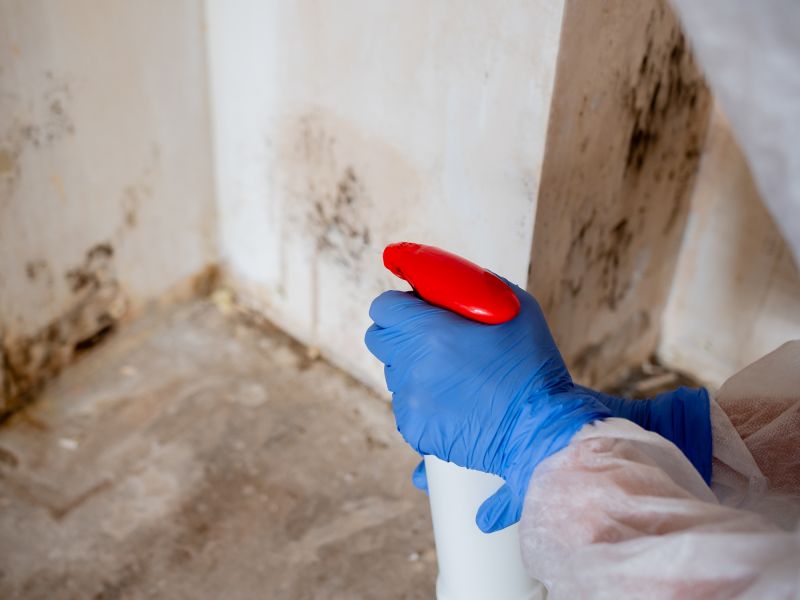 Mold Restoration in Dallas, TX