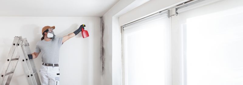 Mold Treatment Service in West Palm Beach, FL