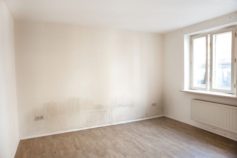 White Mold Mitigation in Dallas, TX