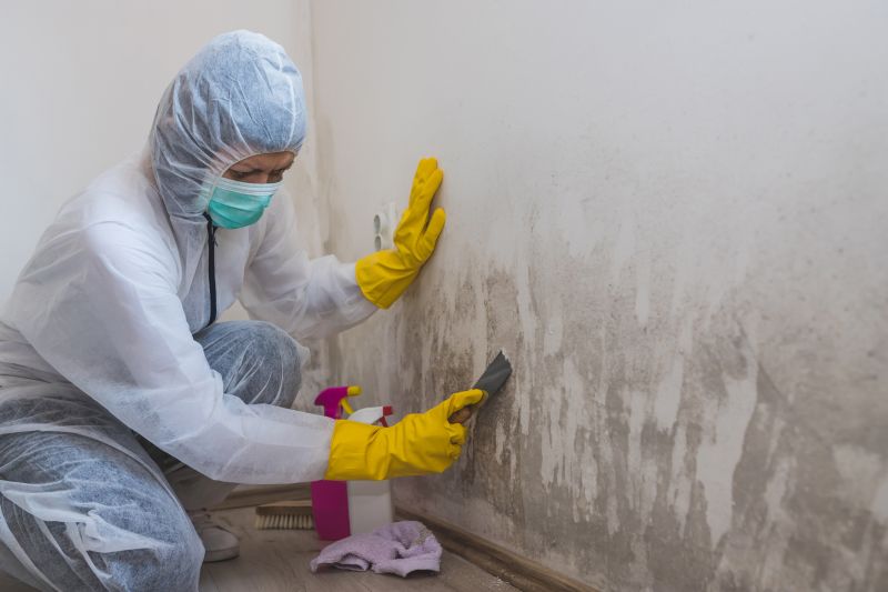 Air Duct Mold Removal in Frisco, TX