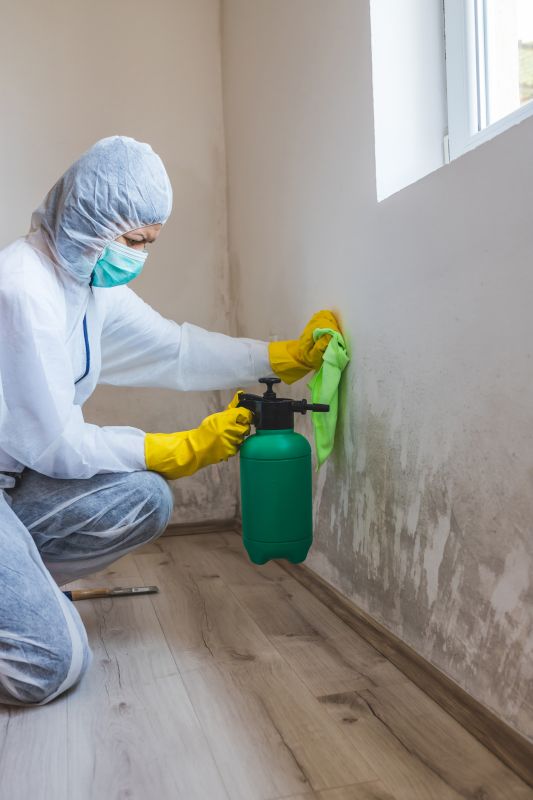 Mold Cleanup Service in Fort Worth, TX