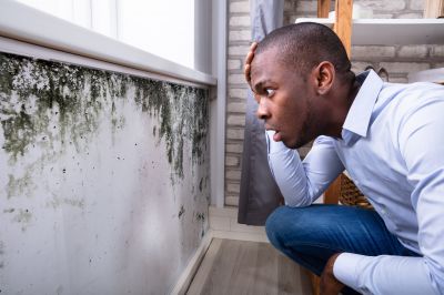Mold Detection in Essex County, NJ