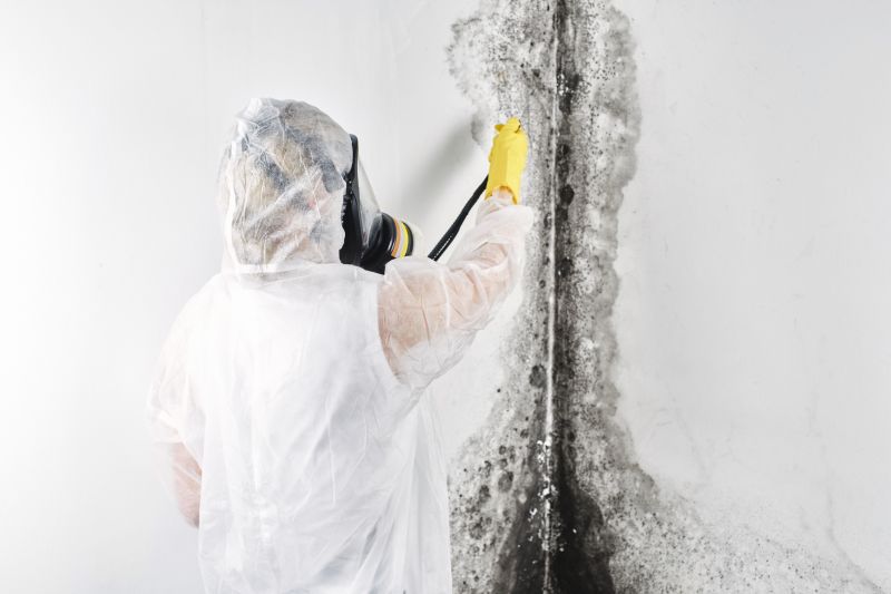 Mold Removal in West Palm Beach, FL