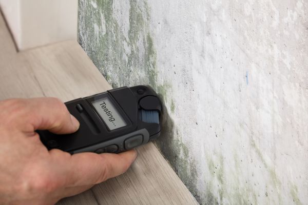 Attic Mold Testing